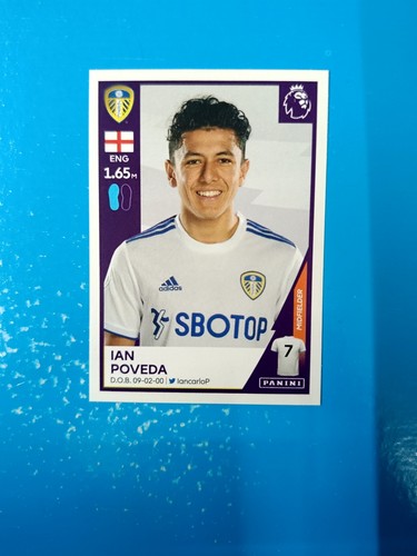 Figurina panini premier league - figurina,
