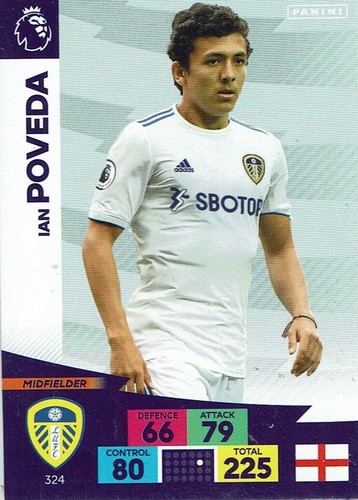 Panini adrenalyn premier - panini,